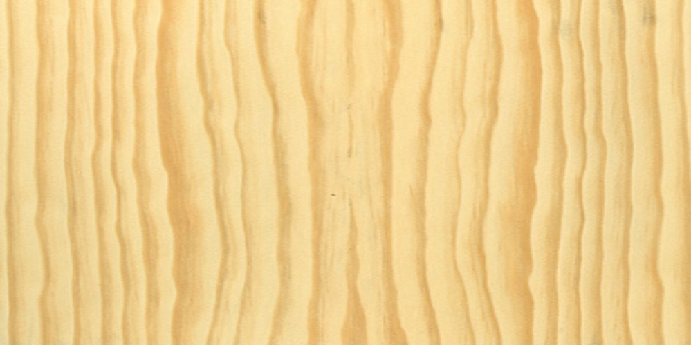 Pine real wood veneer sample